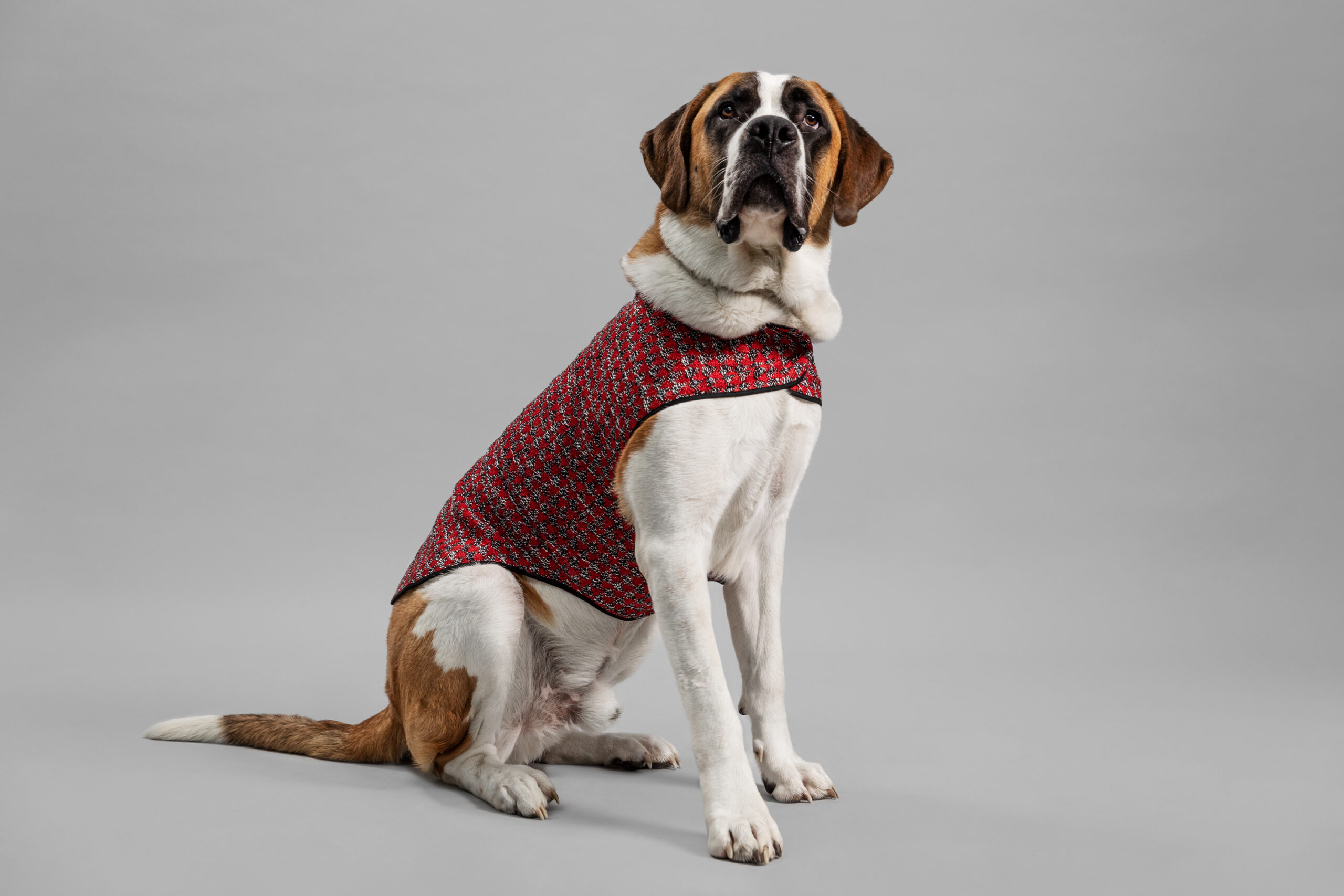 OUI_Holiday-Dog-Sweater_Biggy40