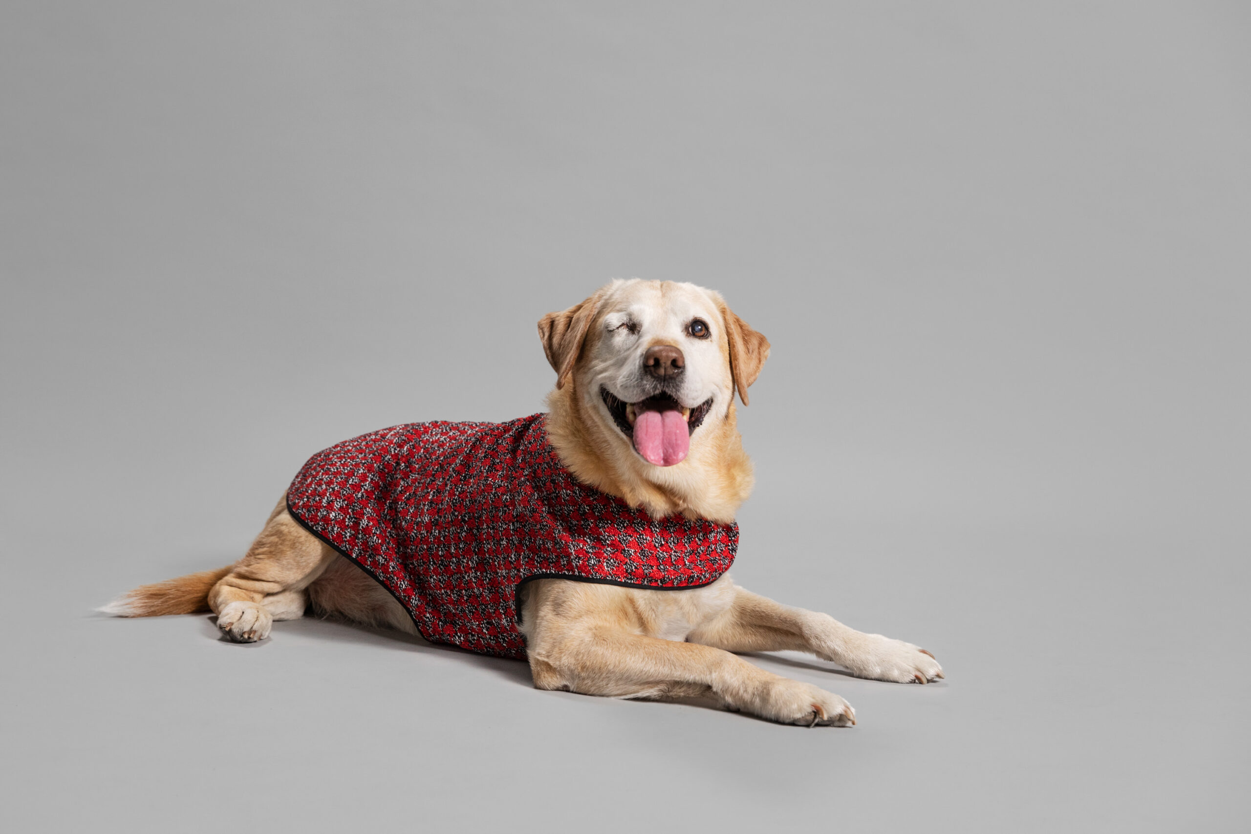 OUI_Holiday-Dog-Sweater_Maggie_29