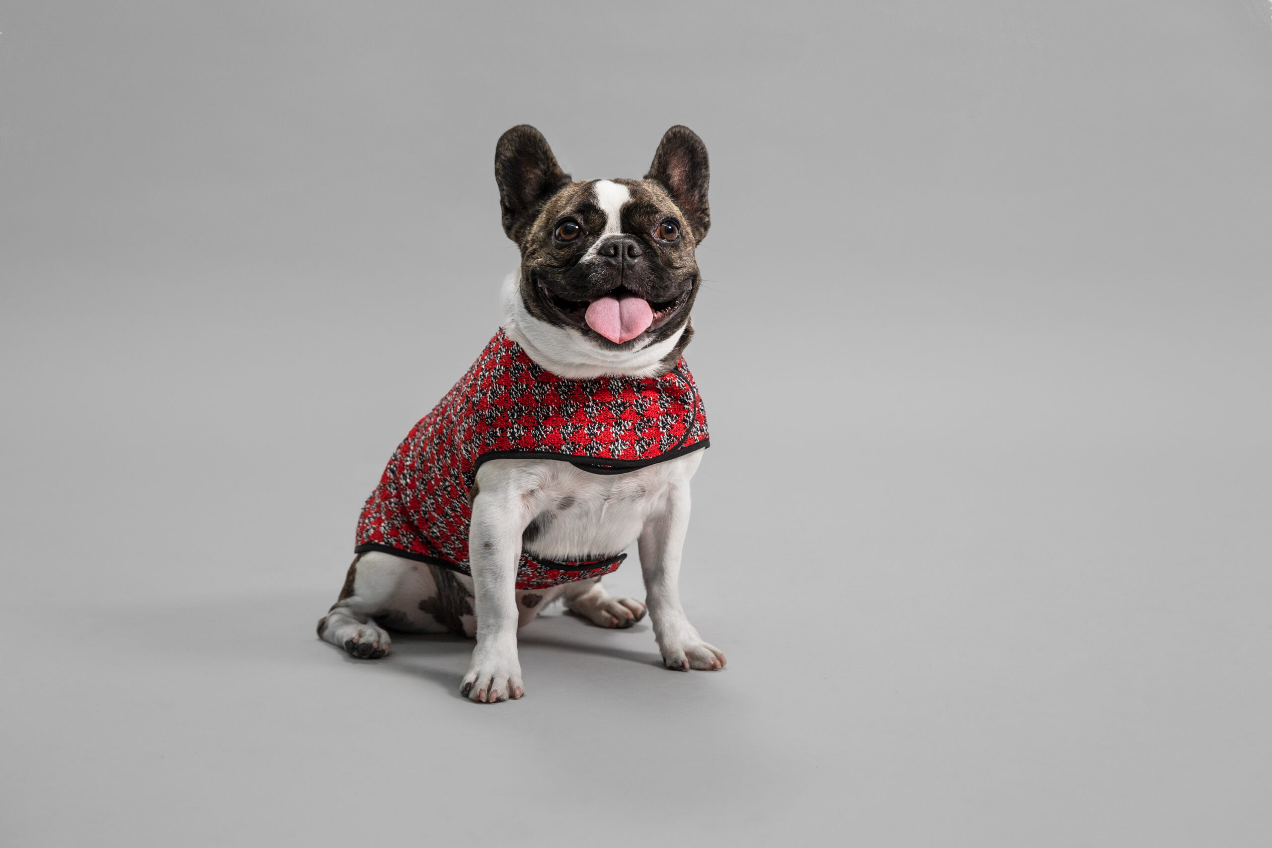 OUI_Holiday-Dog-Sweater_Mrs-Jones_14